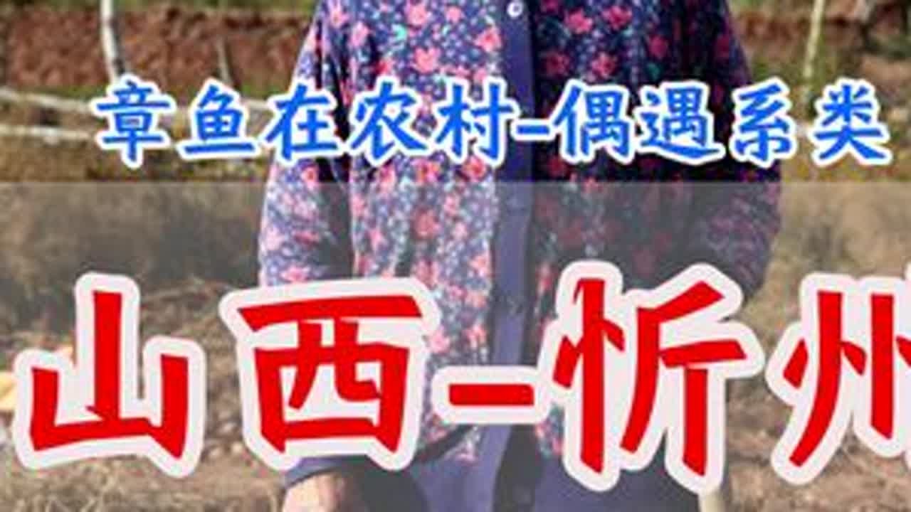 农村人的国庆是没有诗和远方的，只有干不完的农活，但这就是最朴实生活的样子！ 