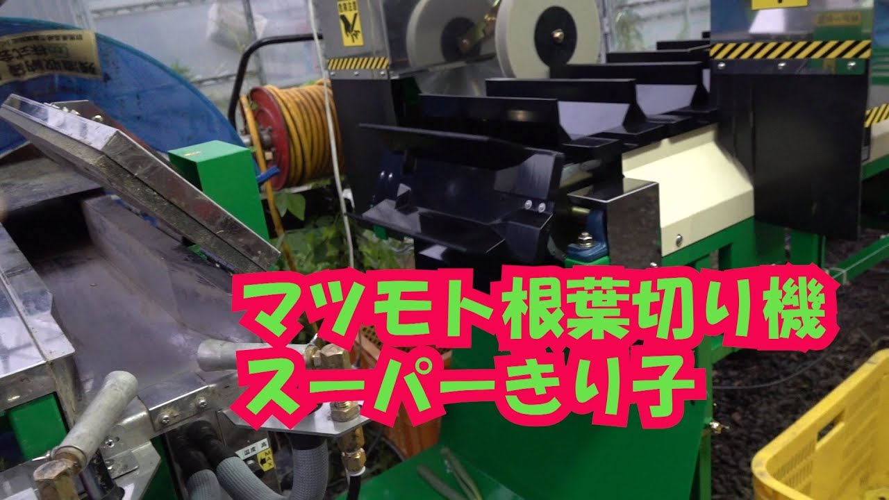 Matsumoto Root and Leaf Cutter Super Kiriko Arrived 7/22/19 #741