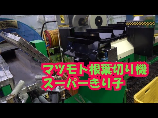 Matsumoto Root and Leaf Cutter Super Kiriko Arrived 7/22/19 #741