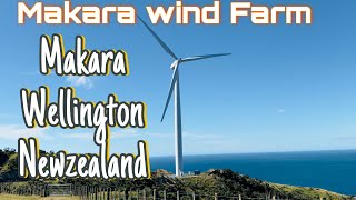 Makara wind farm/wind turbines / wellington /Newzealand