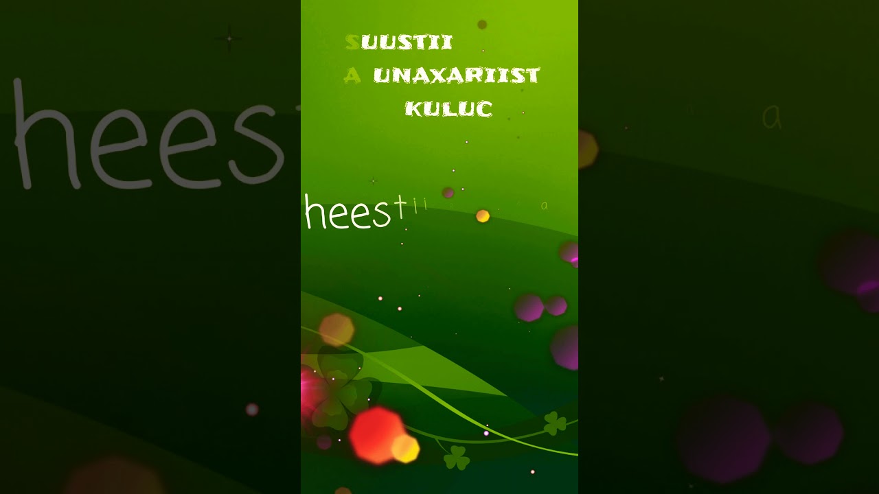 ABDIWALI SAYIDKA PY DIIGAA 2019 IYO XUSUSTII  KULUC