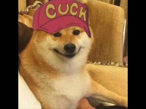 Suck my pp Suck my pp