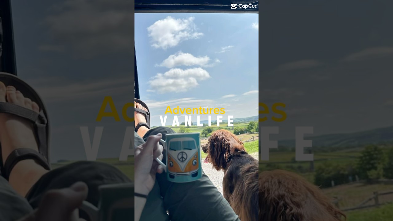 This week’s adventures in our van! 