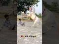 Badal or Haresh #song #rajasthani #jaisalmer #subscribe #viralshorts #india #youtube