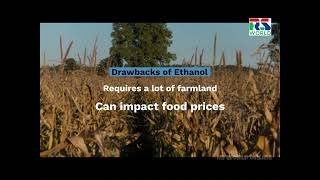 Will Ethanol Be the Future of Fuel?