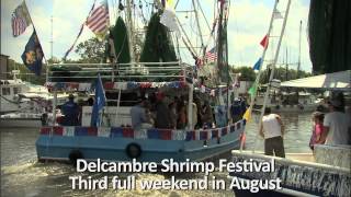 Vermilion Parish Festivals