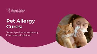 Secrets to Cure Your Pet Allergies Allergy Asthma Care of Brooklyn