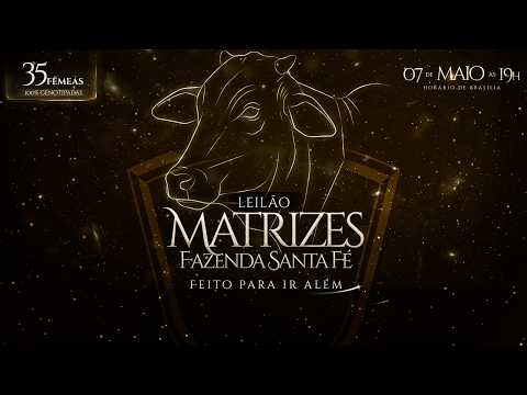 LOTE 20