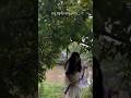 ছোট ছোট এই জিনিসগুলোই পুরো শান্তিবাড়িকে মনে রাখার মতো করে তোলে ..🦋✨