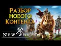 Все новинки за последний год New World MMORPG