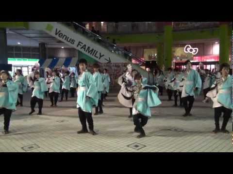 「法政大学　鳳遥恋」　ドリーム夜さ来い2012　パレットタウン