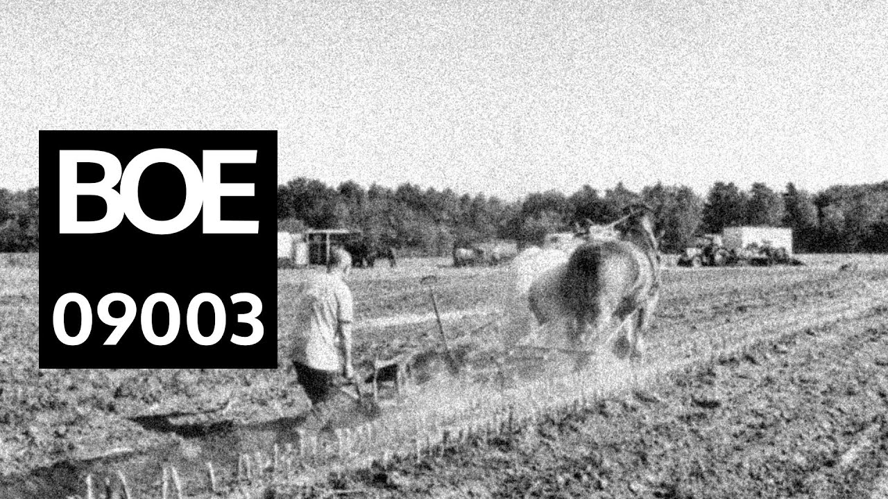 BOE Soundscape 9003 Belgian draft horses plowing / Tweespan Belgische ...