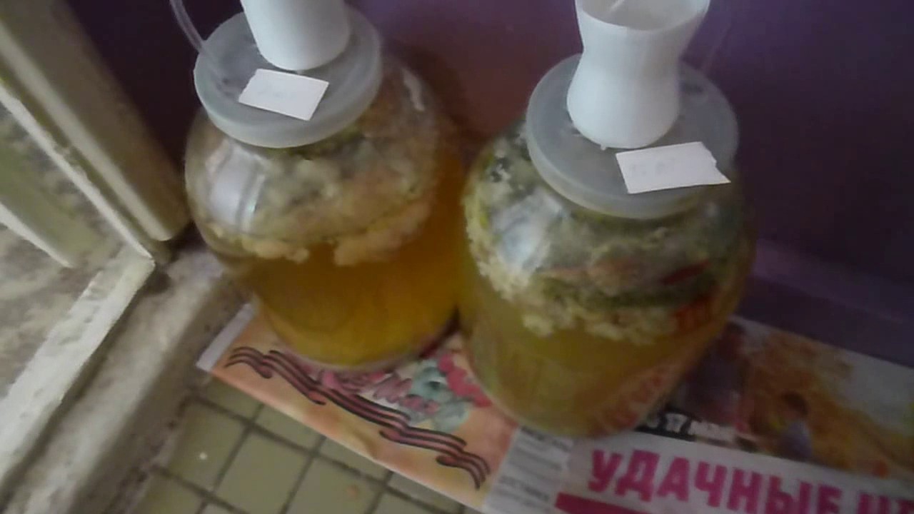рецепт браги из хлеба рецепт браги из хлеба