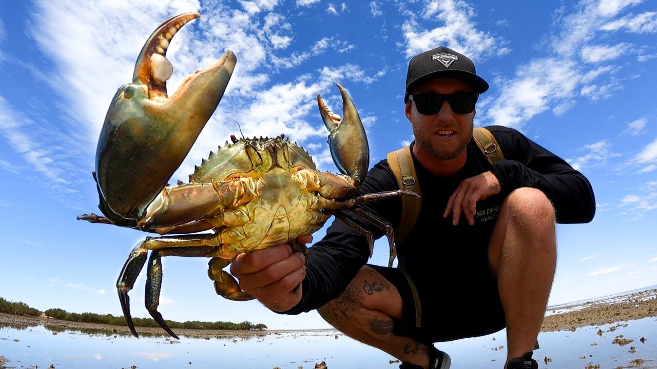 GIANT MUD CRABS CAUGHT BY HAND Catch And Cook On The Fire YouTube GIANT MUD CRABS CAUGHT BY HAND Catch And Cook On The Fire YouTube