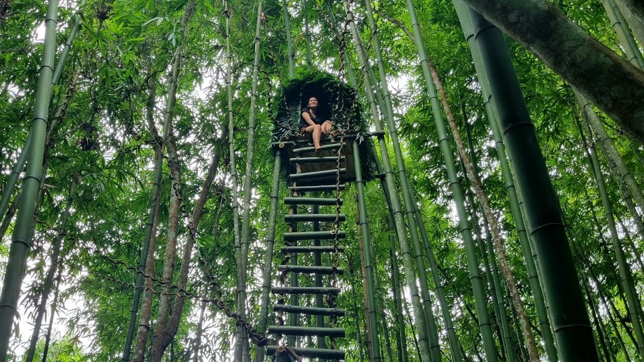 Girl build a shelter on top of a bamboo tree- Wild Girl - YouTube