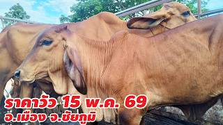 ราคาวัว 15 พฤษภาคม 2569 บ.นาฝาย ต.นาฝาย อ.เมือง จ.ชัยภูมิ เปิดทุกวันอังคารและวันศุกร์
