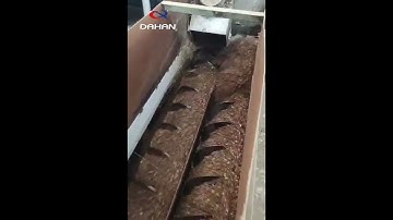 Paddle Conveyor conveys rice husk