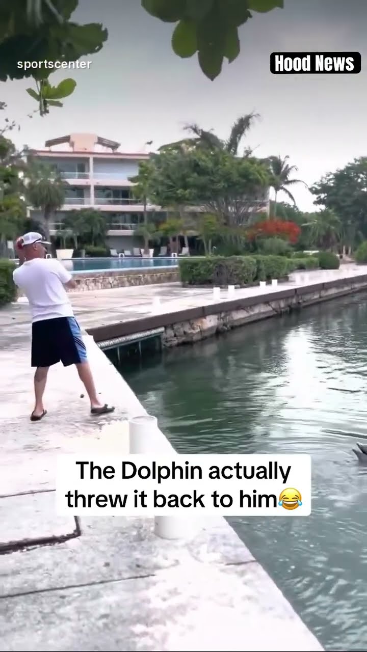 The Dolphin actually threw it back to him #hoodnews #football #sports #miami #dolphin #omg #how #wow
