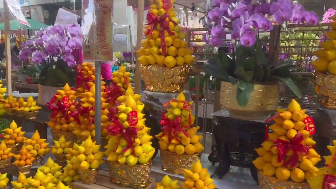 Gigi同你去香港 - ￼旺角|Ep6|花墟買$100 三盤蘭花自己砌