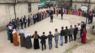 Aşira Goyan - Rugeş Bazi