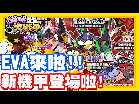 心得 關於狂亂貓優先打順序及關卡難度分析 第二次更新 健康跟著走