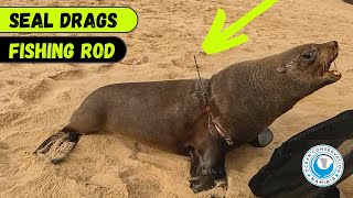 Seal Drags Fishing Rod