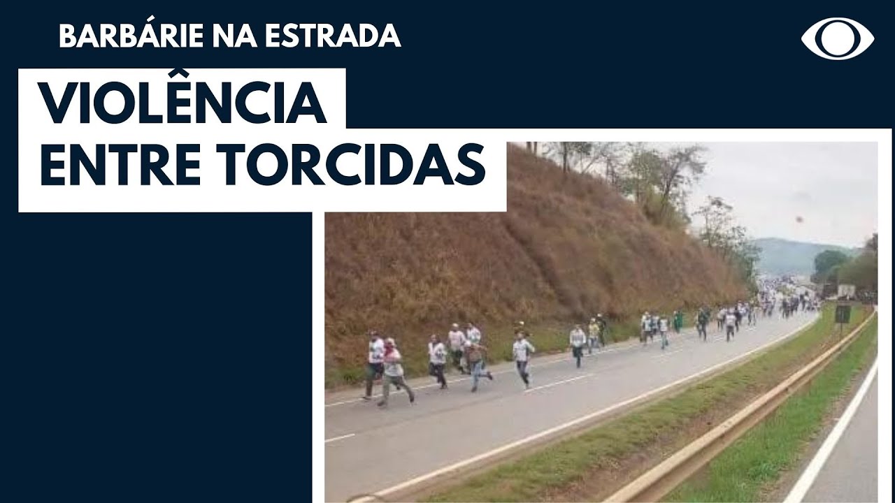 Briga entre torcidas do Cruzeiro e do Palmeiras