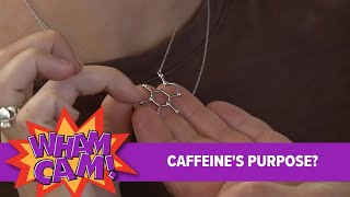 Wham Cam: Caffeine?