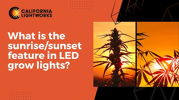 What is the Sunrise / Sunset feature in LED grow lights?