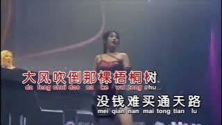 Da Feng Chui Dao Wu Tong Shu - Female Dj Remix No Vocal Key Am