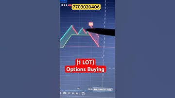 Renko Chart Live Trading Profit |