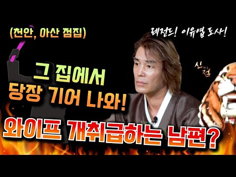 (이유엽도사)니가 애완견이야??? 당장 이혼 준비해!! 용한점집 아산점집 부산점집 유명한점집 운세 신점