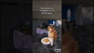 Hola🐕🐶🍪#parati #edit #doge #cheems