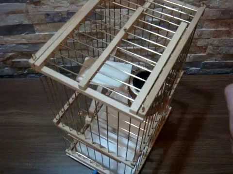 Multidetector Trap Cage for Sale/Cage piège Multirepris Multidetector Trap Cage for Sale/Cage piège Multirepris