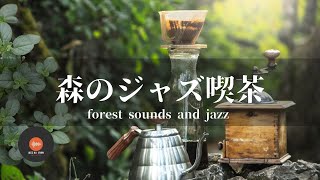 環境音+JAZZ 静かな森の中でリラックス 鳥のさえずり 川のせせらぎ 自然 環境音  CAFE JAZZ - 作業用BGM