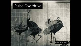 PULSE OVERDRIVE