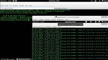 Smurf Attack Demonstration