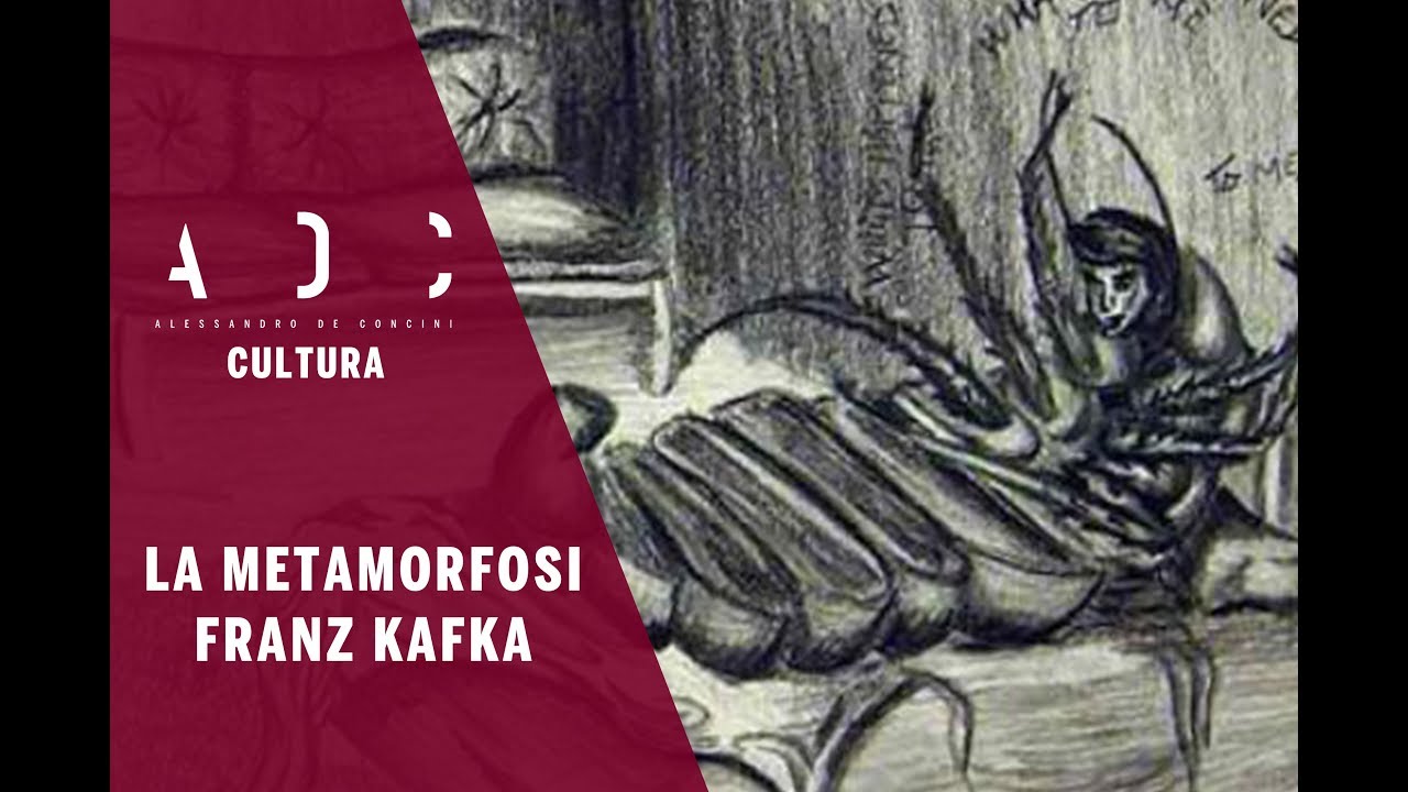 La metamorfosi, Franz Kafka - YouTube