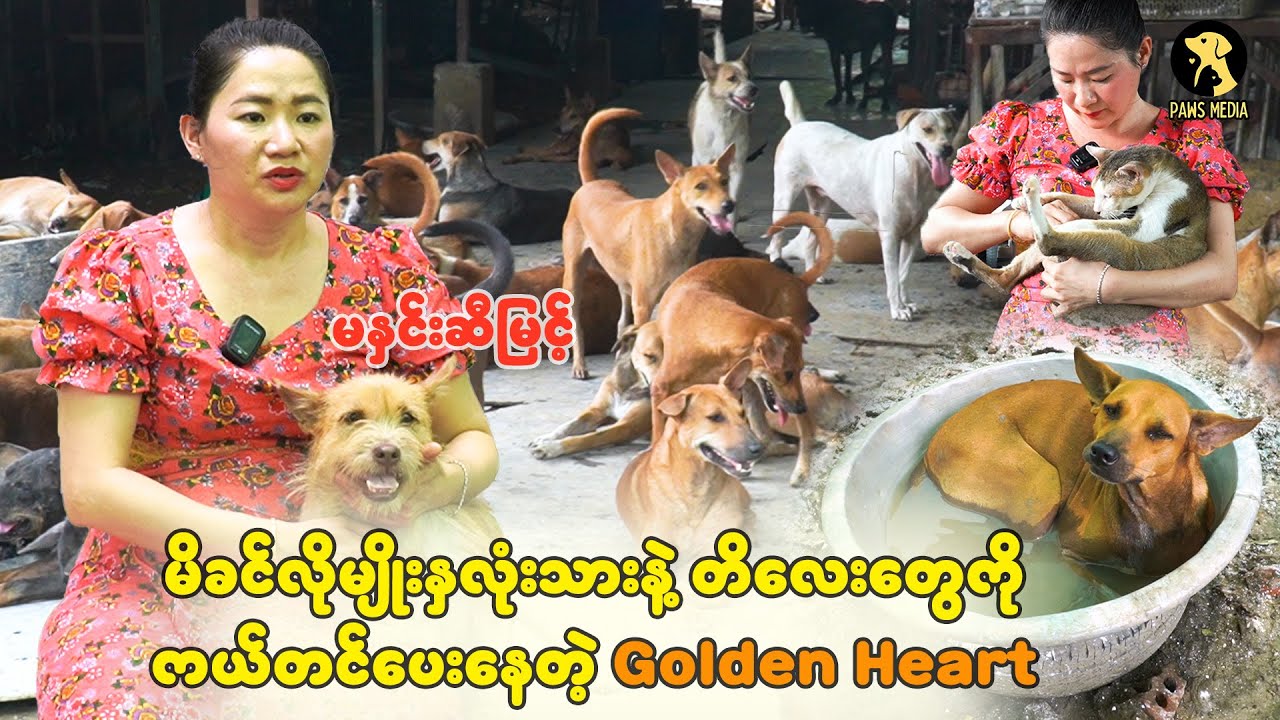 မိခင်လိုမျိုး အမြဲကြည့်နေဖြစ်တယ် 