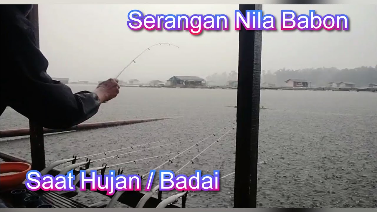 Babon Nila Landing saat hujan badai