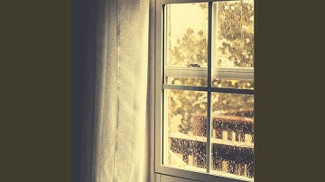 Subdued Backdrops for Soothing Rain