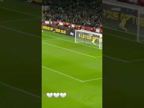 هدف ريشاليسون العالمي في مرمى أرسال