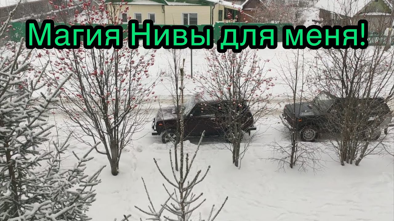 Нива судного дня