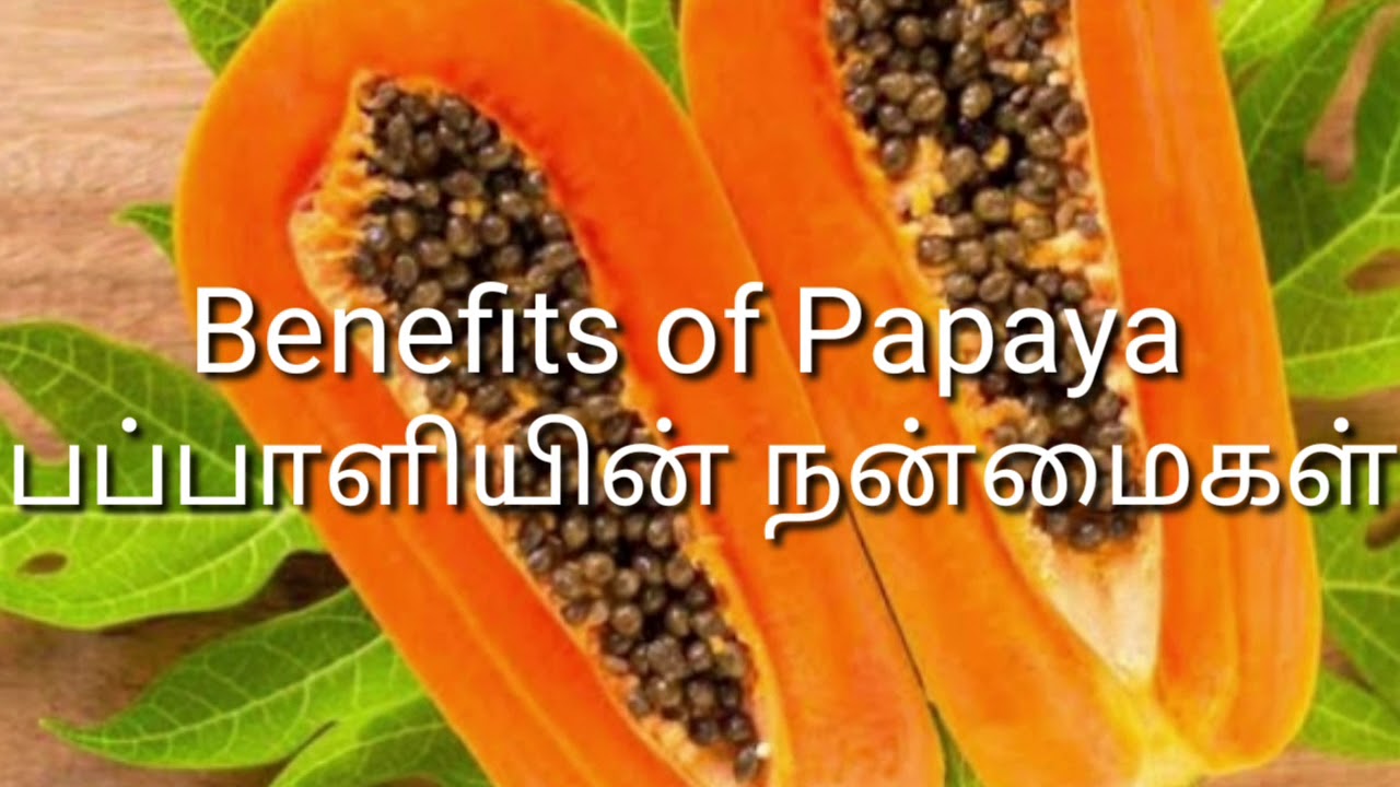 Benefits of Papaya / பப்பாளியின் நன்மைகள் YouTube