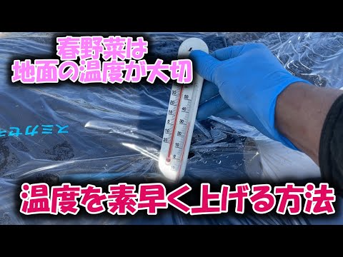 地温計の使い方：春の植え付けを失敗しないための3つのポイント