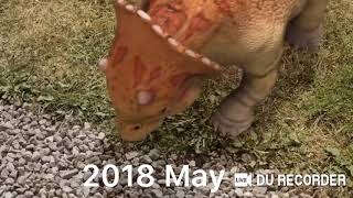 Evolution of Baby Triceratops