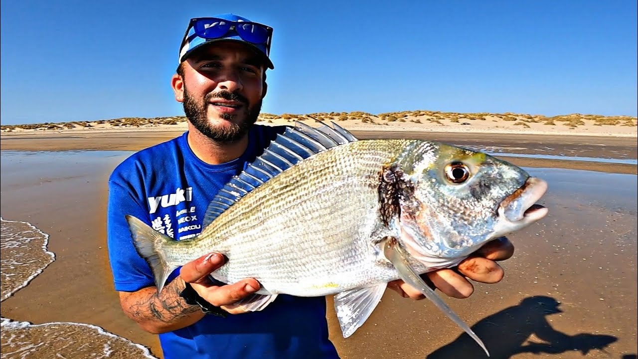 SURFCASTING, TE ENSEÑO COMO LUCHO CON UNA PLAGA DE CANGREJOS ASESINOS PARA PODER PESCAR DORADAS