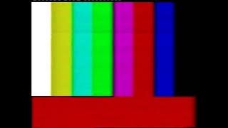 Colour bars from a 1990 PAL VHS tape
