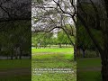 Beautiful views in Los Fresnos Nature Park in Texas