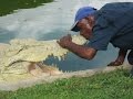 Man kisses huge hungry Crocodile